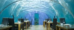 Cool Underwater Attractions