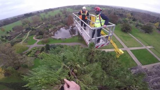 tallest cherry picker forklift